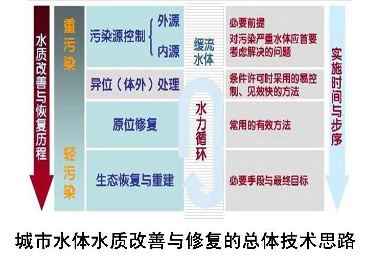 城市水体水质改善与修复.jpg